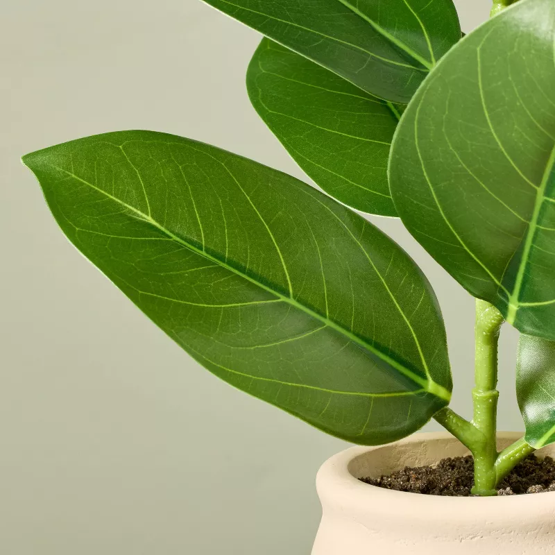 Chic Home Decor Sale Shop -Chic Home Decor Sale Shop GUEST db3d8378 c9af 4302 950a dff74becef00 1