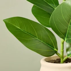 9.5" Faux Mini Green Leaf Plant - Hearth & Hand™ With Magnolia -Chic Home Decor Sale Shop GUEST db3d8378 c9af 4302 950a dff74becef00